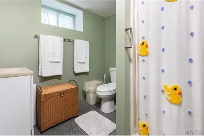 9118 Lucia Drive, Affton, MO 63123 - Photo 19