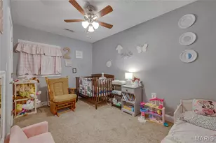 1134 Spruce St, Bismarck, MO 63624 - Photo 9
