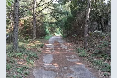 18323 County Road 118, Malden, MO 63863 - Photo 3