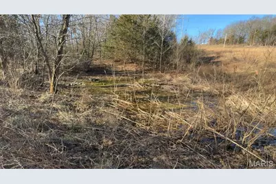 16629 Beaufort Road, Crocker, MO 65452 - Photo 17