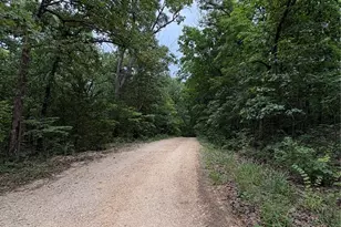 123 Monty Ln, Lonedell, MO 63060 - Photo 41
