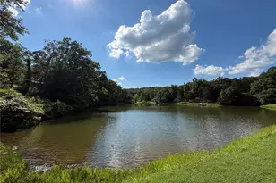 123 Monty Ln, Lonedell, MO 63060 - Photo 83