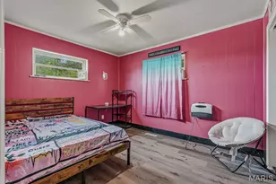 43789 Co Rd 111, Bernie, MO 63822 - Photo 17