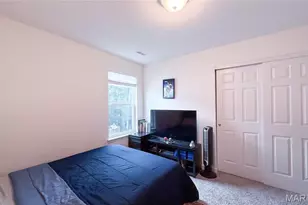 161 Brookview Way Dr, O'Fallon, MO 63366 - Photo 23