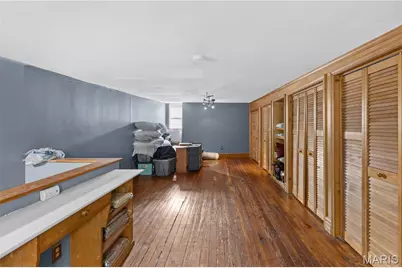1115 Lynch Street, Saint Louis, MO 63118 - Photo 15