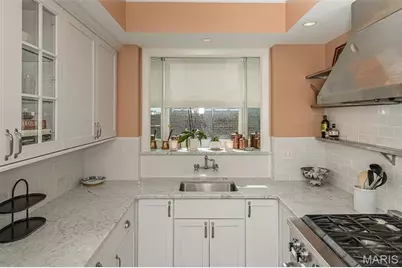 625 S Skinker Boulevard #401, Saint Louis, MO 63105 - Photo 19