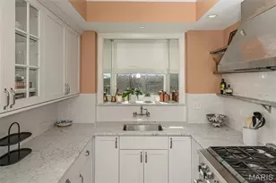 625 S Skinker Blvd, Saint Louis, MO 63105 - Photo 19