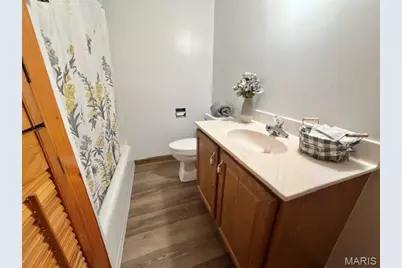 718 N Sturgeon Street, Montgomery City, MO 63361 - Photo 19