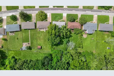 1133 Fain Drive, Saint Louis, MO 63125 - Photo 19