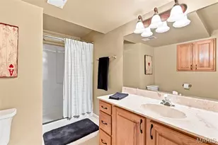 13 Summerhill Ln, Town and Country, MO 63017 - Photo 53