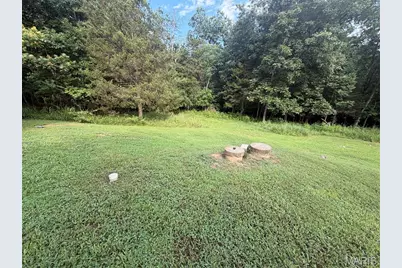 7720 Lange Drive, Cedar Hill, MO 63016 - Photo 11