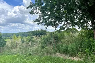15639 State Hwy 185, Potosi, MO 63664 - Photo 9