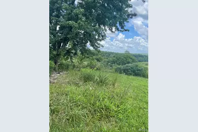 15639 State Highway 185, Potosi, MO 63664 - Photo 5