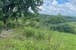 15639 State Hwy 185, Potosi, MO 63664 - Photo 5