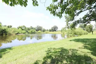 [Address not provided], Park Hills, MO 63601 - Photo 71