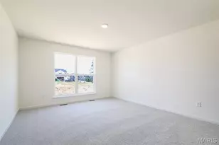 6 Panda Ct, House Springs, MO 63051 - Photo 15