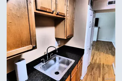 5653 Waterman Boulevard #3S, Saint Louis, MO 63112 - Photo 5
