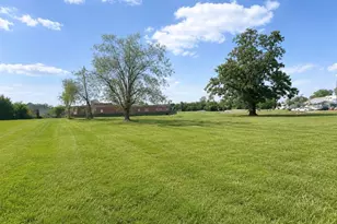 100 W Chestnut St, Desloge, MO 63601 - Photo 1