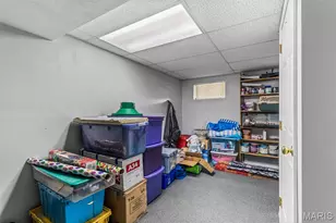 3981 Plass Rd, Festus, MO 63028 - Photo 33
