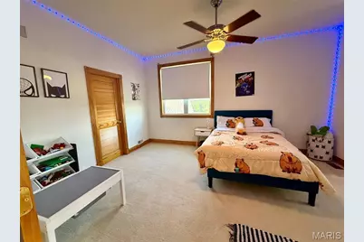 28875 Collins Lane, Jonesburg, MO 63351 - Photo 51