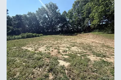 717 Lincoln Street, Elsberry, MO 63343 - Photo 5