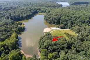 411 Cervina Beach Dr, Innsbrook, MO 63390 - Photo 45