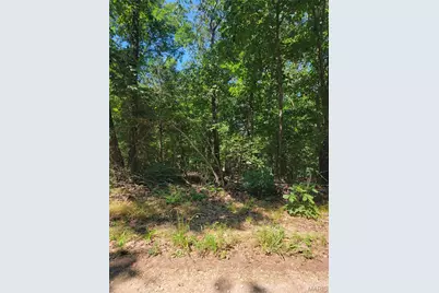 00 Lot 2 Victoria Woods Drive, De Soto, MO 63050 - Photo 5