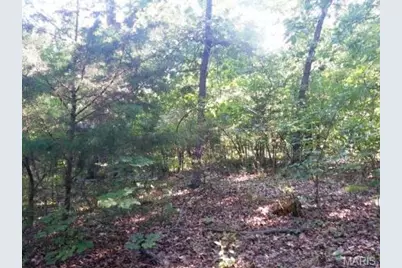 00 Lot 2 Victoria Woods Drive, De Soto, MO 63050 - Photo 7