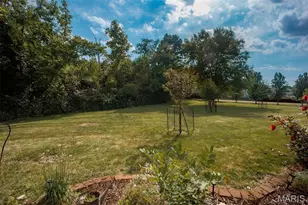 1429 Tahoe Valley Ct, Ballwin, MO 63021 - Photo 29