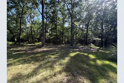 719 White Dogwood Court, Saint Clair, MO 63077 - Photo 67