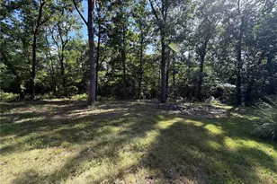 719 White Dogwood Ct, Saint Clair, MO 63077 - Photo 67