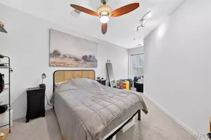 849 Westgate Ave, Saint Louis, MO 63130 - Photo 17