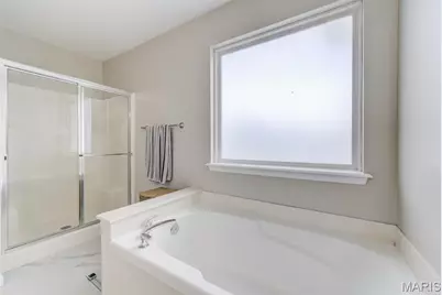 109 Emerald Isle Lane, Wentzville, MO 63385 - Photo 19