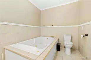 111 N Ravencrest Dr, Desloge, MO 63601 - Photo 41