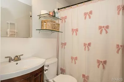 6742 Dolan Place, Saint Louis, MO 63139 - Photo 33