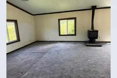 150 W Birds Nest Road, Cuba, MO 65453 - Photo 3