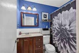 14010 Sunland Dr, Florissant, MO 63034 - Photo 29