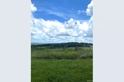 15639 State Highway 185, Potosi, MO 63664 - Photo 9