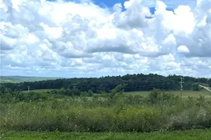 15639 State Hwy 185, Potosi, MO 63664 - Photo 9