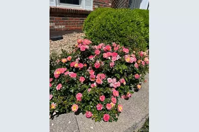 273 Prince Towne Drive, Saint Louis, MO 63141 - Photo 27