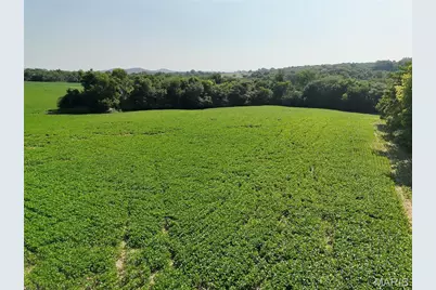 0 Walnut Hill Ln. (36.31+/- Acres), Elsberry, MO 63343 - Photo 21
