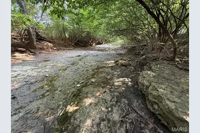 0 Walnut Hill Ln. (36.31+/- Acres), Elsberry, MO 63343 - Photo 23