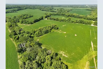 0 Walnut Hill Ln. (36.31+/- Acres), Elsberry, MO 63343 - Photo 27