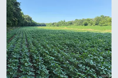 0 Walnut Hill Ln. (36.31+/- Acres), Elsberry, MO 63343 - Photo 13