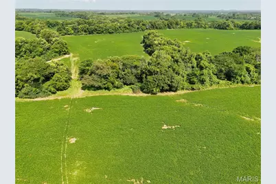 0 Walnut Hill Ln. (36.31+/- Acres), Elsberry, MO 63343 - Photo 29