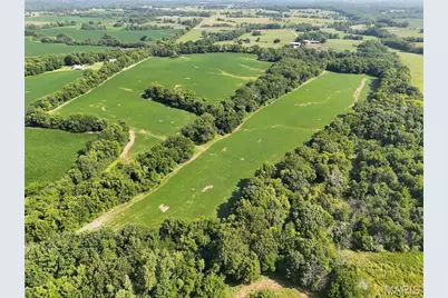 0 Walnut Hill Ln. (36.31+/- Acres), Elsberry, MO 63343 - Photo 3