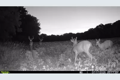0 Walnut Hill Ln. (36.31+/- Acres), Elsberry, MO 63343 - Photo 7