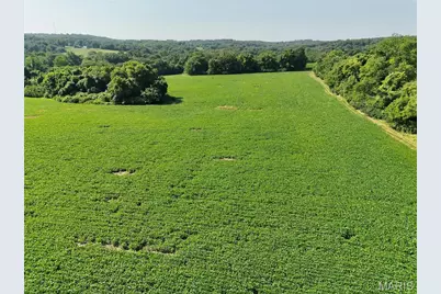 0 Walnut Hill Ln. (36.31+/- Acres), Elsberry, MO 63343 - Photo 11