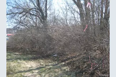 10066 Big Bend Road, Crestwood, MO 63122 - Photo 3
