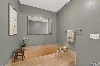 1010 Thoreau Court #302, Creve Coeur, MO 63146 - Photo 9